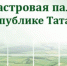 Кадастровая палата по РТ проведет 23 мая горячую линию по «дачным вопросам» - Агрызский район