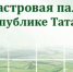 Кадастровая палата по РТ проведет 23 мая горячую линию по «дачным вопросам» - Агрызский район