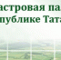 Сделки с недвижимостью:  Кадастровая палата по РТ разъясняет наиболее актуальные стороны вопроса - Агрызский район