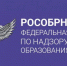 Рособрнадзор проведет эксперимент по созданию цифровых аттестатов и дипломов - Агрызский район