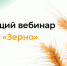Участников рынка зерна приглашают на обучающий вебинар по ФГИС «Зерно» - Агрызские вести