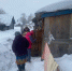 Форпостовцы Агрыза помогли пожилой бабушке с хозяйством - Агрызские вести