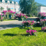 ☀🌳Готовимся к прекрасному лету вместе - Агрызский район