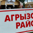 Агрызский район уверенно движется к лидерству в молочной отрасли Татарстана - Агрызский район