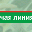 Телефонная «горячая линия» для населения по вопросам защиты избирательных прав граждан - Агрызский район
