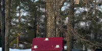 Погода в Агрызском районе на 19 марта - Агрызские вести
